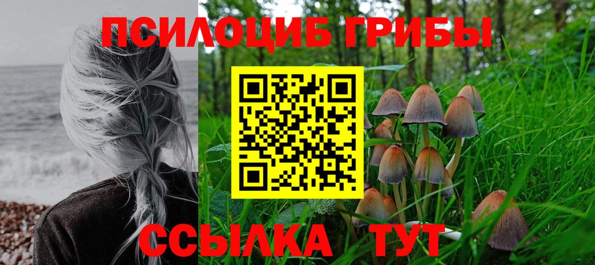 Галлюциногенные грибы GOLDEN TEACHER Клин